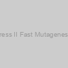 Mut Express II Fast Mutagenesis Kit V2